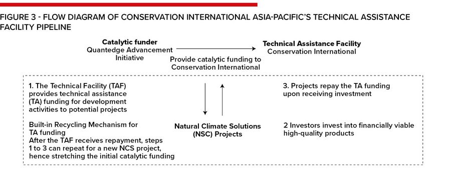 Figure 3 - Flow diagram of Conservation International Asia-Pacific’s Technical Assistance Facility pipeline